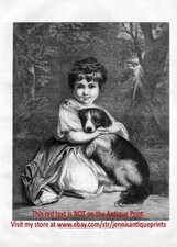 Dog Cocker Spaniel Puppy Snuggling with Beautiful Girl Large 1870s Antique Print