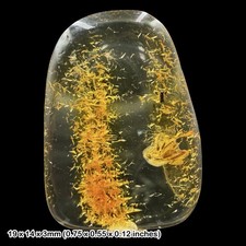 Baltic amber fossil dance - amber, fly