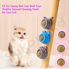 Cat Kitten 2 x Catnip Ball