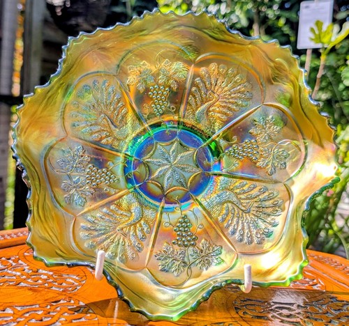 Fenton peacock grape - fenton, &
