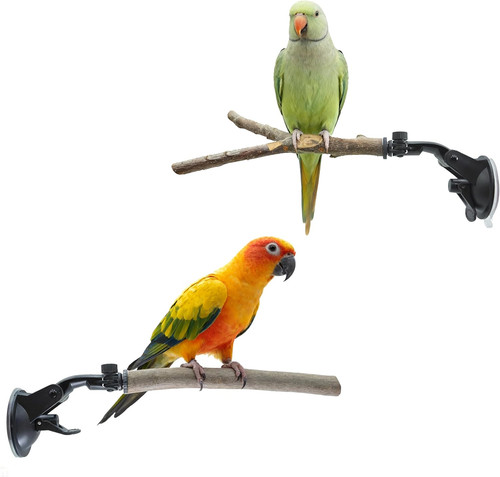 Pack bird perch stand with - 2-pack,