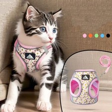 Kitten Dogs Cat Harness and