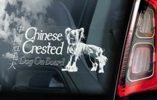 Chinese Crested Dog Car