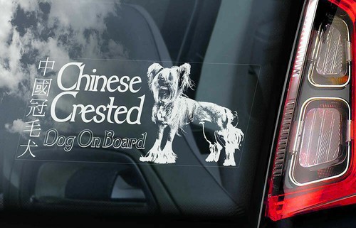 Chinese crested dog car - dog,