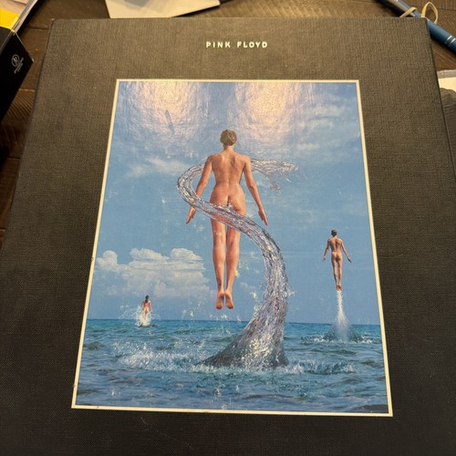 Pink floyd shine - floyd, on