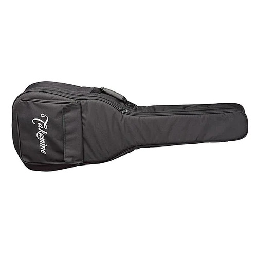 Takamine acoustic guitar - takamine,