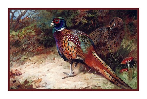 Archibald thorburn common - thorburn's,