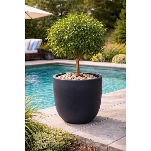 Large matte black - matte,