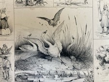 Beautiful Lithograph Leda Swan