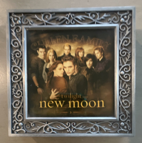 Twilight saga new - saga, moon