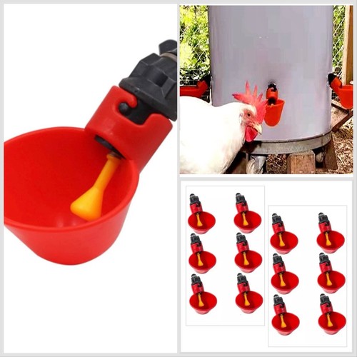 12x chicken poultry - 12x,