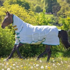 Shires Tempest Plus Sweet-itch