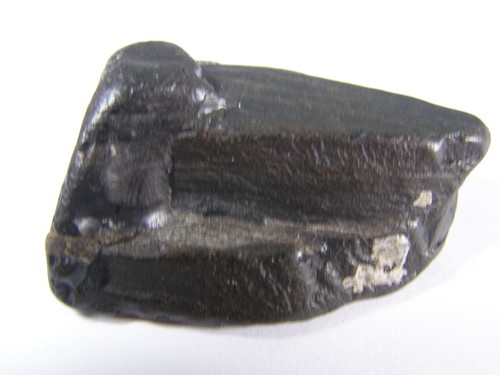 Natural whitby jet grief - natural,
