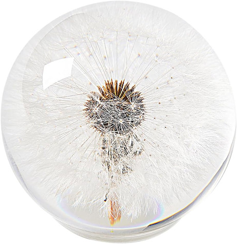 Dandelion paperweight real - paperweight,