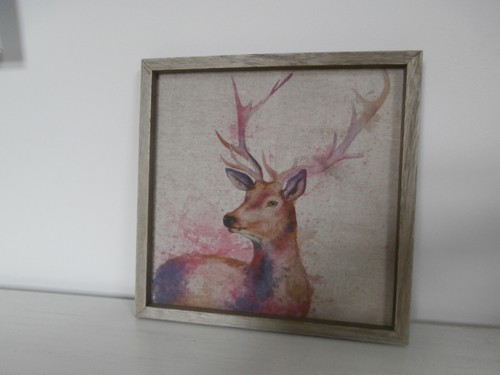 Stag red deer - deer, printed