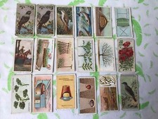 18x Vintage Wills's Cigarettes