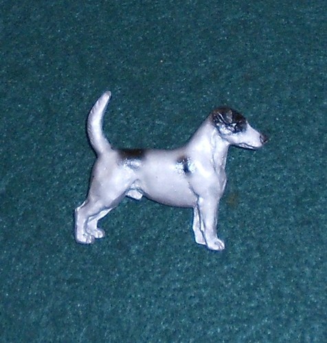 Jack russell terrier black - terrier,