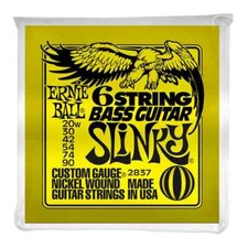 Ernie Ball Slinky Nickel 2837