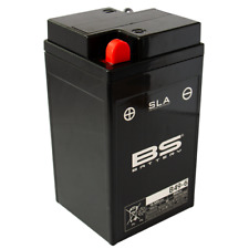 BS BATTERIES B49-6 6 VOLT