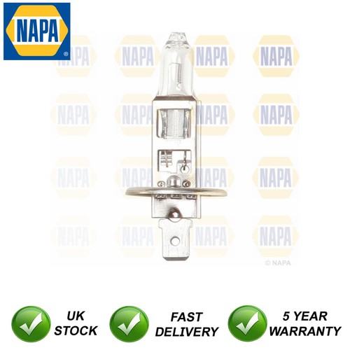 Headlight bulb front napa - front, fits