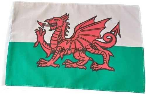 Wales flag x12 treehouse - 18"x12",
