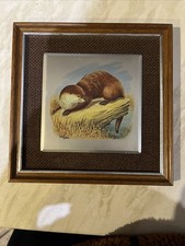 John Heaton Otter Picture Mounted