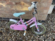 Raleigh 12” inch Pop Pink