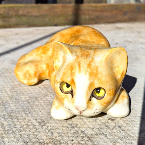 Winstanley cat ginger - cat, 2