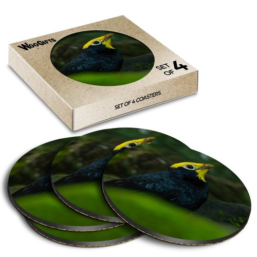 Round mdf coaster golden - round,