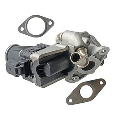 EGR Valve for Citroen Relay