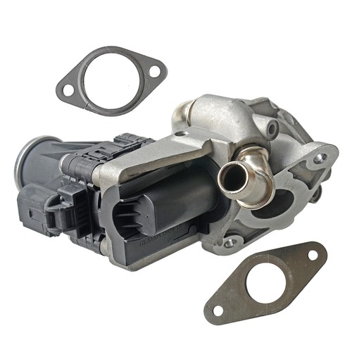 Egr valve for - valve,