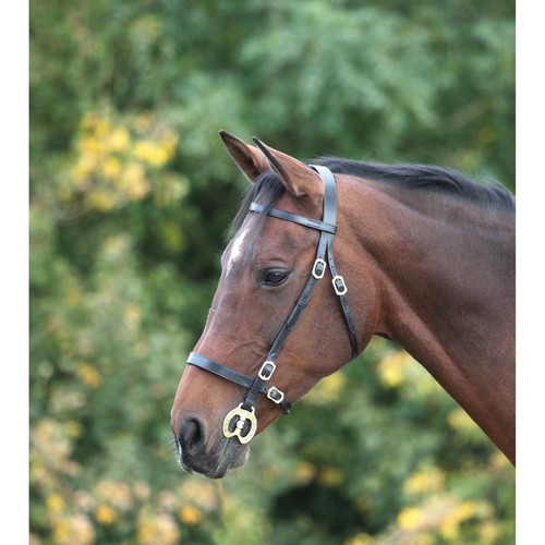 Shires velociti gara plain - velociti,