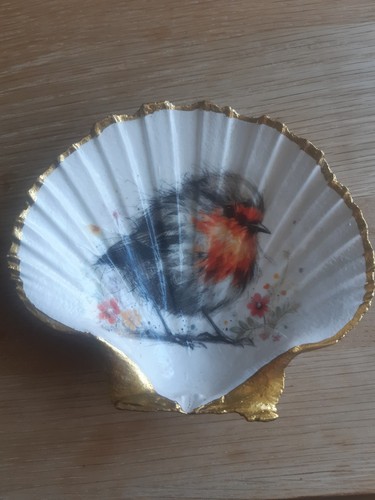 Large scallop shell robin - scallop,