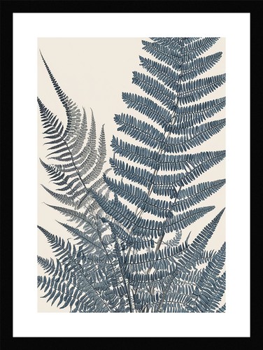 Refined fern fronds - fronds, print