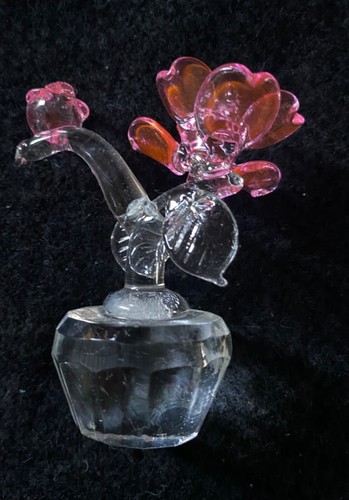 Pair pretty clear acrylic - a,