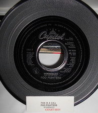 Foo Fighters This is a Call