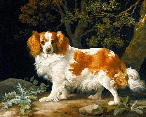 George stubbs king charles - george,