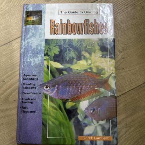 The guide owning rainbow - guide,