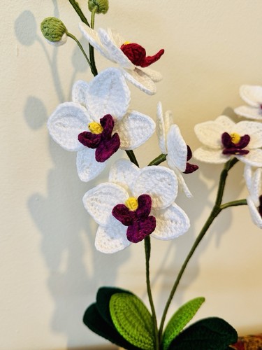 Orchid handmade crochet - orchid,