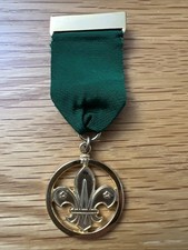 Boy Scout Medal Of Merit