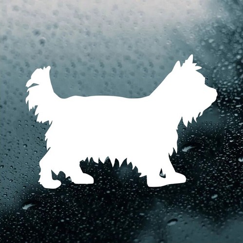 Yorkshire terrier viny sticker - viny,