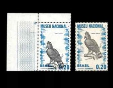 Ants Brazil leafcutter, fire