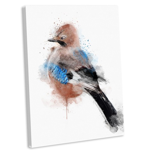 Jay portrait watercolour - portrait, style