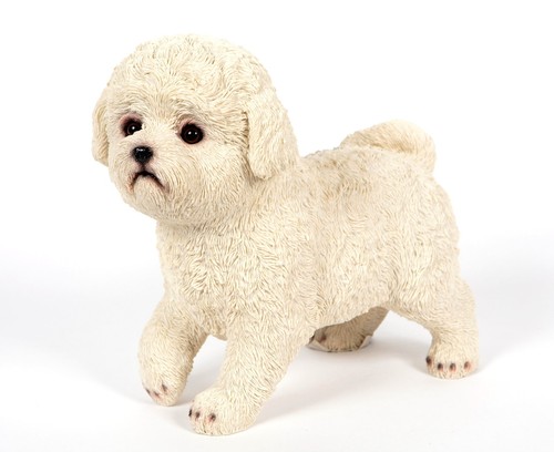 Garden creations bichon friese - creations,