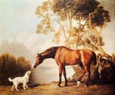 BAY HORSE AND WHITE DOG
