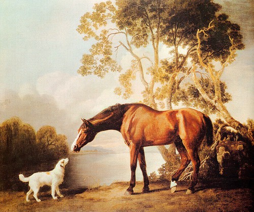 Bay horse and white - horse,