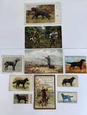 Flatcoated Retriever Dog Trade Cards, Cigarette Cards & Postcards x 10