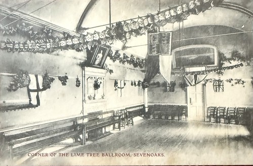 Sevenoaks lime tree ballroom - tree,