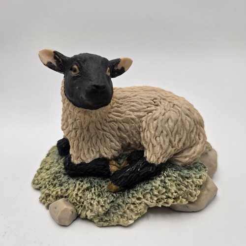 Border fine arts - fine, sheep