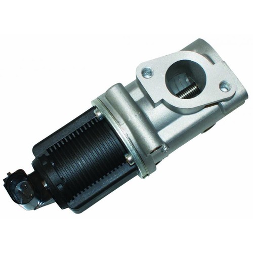 Exhaust gas recirculation - exhaust,